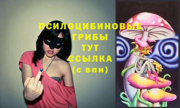 мескалин Тайга